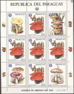 Paraguay 1986, Mushrooms, Butterflies, Sheetlet - Paraguay