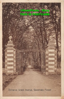 R421017 Entrance Grand Avenue. Savernake Forest. Tomkins Bros. Ideal Series - World