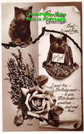 R420567 Birthday Greetings Fond And True. Two Cats And Rose. W. B. L. Academy Se - World