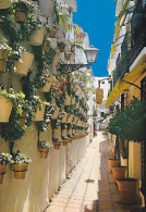 AK 211691 SPAIN - Marbella . Calle Tipico - Autres & Non Classés