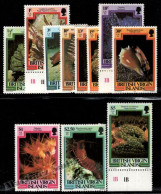 British Virgin Islands 1979-80 Yvert 384, 386, 387, Sea Fauna, Shells - Short Set With High Dollar Values - MNH - Britse Maagdeneilanden