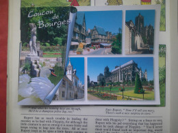 Coucou De Bourges - Bourges