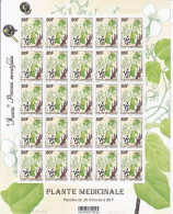 Polynésie N°1128 - Feuille Entière - Neuf ** Sans Charnière - TB - Unused Stamps