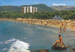 AK 211695 SPAIN - Mallorca - Paguera - Playa De Toré - Mallorca