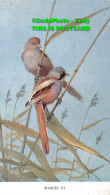 R421135 Bearded Tit. The Soman Wherry Press. 1964 - Monde