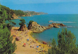 AK 211696 SPAIN - Costa Brava - Playa De Santa Cristina - Autres & Non Classés