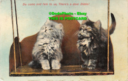 R421819 Do Come And Talk To Us. Theres A Dear Dickie. Cats. Tuck. Rapholette Glo - Monde