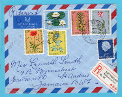 NEDERLAND Luchtpost Brief 1960 Rotterdam Met Bloemenset Naar Jamaica BWI - Briefe U. Dokumente