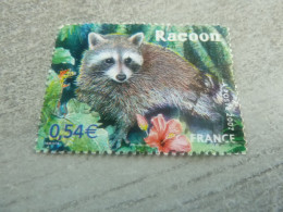 Le Racoon De La Guadeloupe - 0.54 € - Yt 4034 - Multicolore - Oblitéré - Année 2007 - - Rongeurs