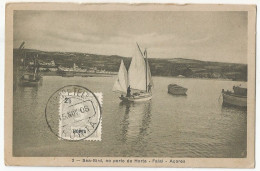 Portugal Açores Postcard Carte Postale CPA 1908 Sea-bird, No Porto Da Horta - Faial - Açores