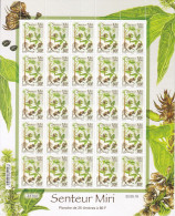 Polynésie N°1191 - Feuille Entière - Neuf ** Sans Charnière - TB - Unused Stamps