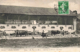 18 - AU PAYS DU BERRY _S28947_ Intérieur De Ferme - Les Bœufs - Agriculture - Altri & Non Classificati