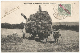 Portugal Postcard Carte Postale CPA 1911 Arredores De Lisboa Trabalhos Agricolas éd. Martins & Silva - Lisboa