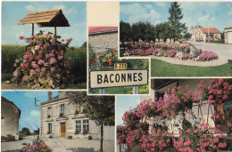 France  Marne Baconnes Village Fleuri - Other & Unclassified