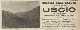 Colonia Salute Carlo Arnaldi - Uscio (Genova) - Pubblicità Del 1917 - Ad - Advertising