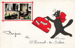 15 - ST BONNET DE SALERS _S28954_ Bonjour - Chat Noir - Valise - Andere & Zonder Classificatie