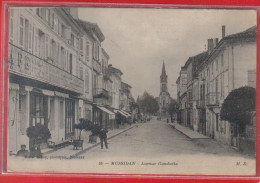 Carte Postale 23. Mussidan  Avenue Gambetta  Très Beau Plan - Autres & Non Classés