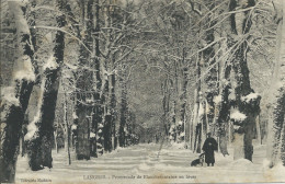 Langres (52) - ¨Promenade De Blanchefontaine En Hiver - Langres