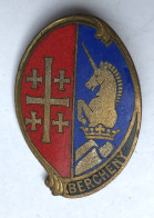 Insigne Militaire - 1er Régiment De Hussards Parachutistes - Bercheny -  Drago Paris H295 - Armée De Terre