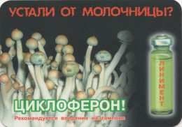 Mushrooma, Pharmacia, Russia, 2003,  100 X 70 Mm - Formato Grande : 1991-00