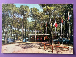 85   CPSM    BOURGUENAY Par Talmont     Camping Caravaning « LES AIGUADES »  Peugeot 404      Bon état - Autres & Non Classés