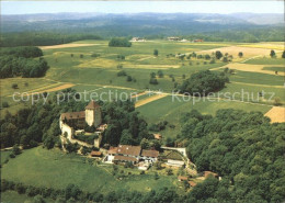 11863776 Schaffhausen SH Schloss Herblingen Fliegeraufnahme Schaffhausen - Andere & Zonder Classificatie