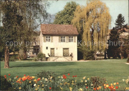 11862507 Winterthur Stadtgarten Mit Barockhaeuschen Winterthur - Autres & Non Classés