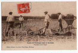 SCENES DE VENDANGES Dans Le BORDELAIS * GIRONDE * PLANTATION VIGNE * HOMME * BROUETTE * édit. Artigue, Cours Victor Hugo - Bordeaux