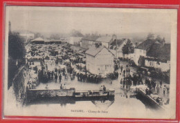 Carte Postale 21. Saulieu  Champ De Foire  Très Beau Plan - Saulieu