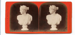 TT0249/ Stereofoto Skulpturen-Gallerie Diana Von Versailles  J.F.Stiehm, Ca.1885 - Sonstige & Ohne Zuordnung