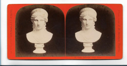 TT0253/ Stereofoto Skulpturen-Gallerie Juno Lodovisi J.F.Stiehm, Berlin Ca.1885 - Altri & Non Classificati
