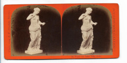 TT0260/ Stereofoto Skulpturen-Gallerie  Venus Von Atles  J.F.Stiehm,  Ca.1885 - Sonstige & Ohne Zuordnung