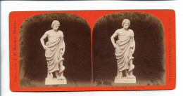 TT0257/ Stereofoto Skulpturen-Gallerie  Aesculap J.F.Stiehm, Berlin Ca.1885 - Altri & Non Classificati