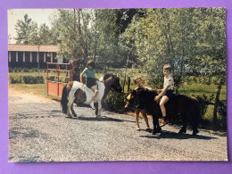 85   CPSM    DAMVIX    Promenade à Poney Devant Le Camping    Joli Plan    Très Bon état - Sonstige & Ohne Zuordnung