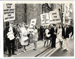 C6283/ Demonstration Für Die Bee Gees Aufenthaltsrecht In England Foto 1967 - Sonstige & Ohne Zuordnung