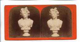 TT0243/ Stereofoto Skulpturen-Gallerie - Thalia - Foto J.F.Stiehm Berlin Ca.1885 - Andere & Zonder Classificatie