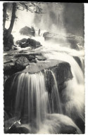 65 Cauterets - Environs -  Cascade Du Pas De L'ours - Cauterets