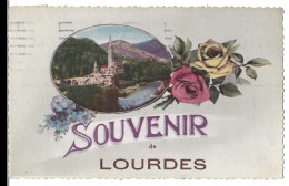 65  Lourdes - Souvenir - Lourdes