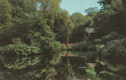 Postcard - Water Gardens, Veryan - Card No.pt280 - Very Good - Zonder Classificatie