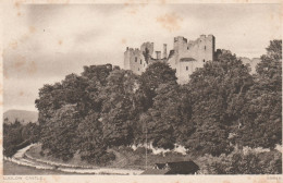 Postcard - Ludlow Castle - Very Early Card No.38846 - Good - Unclassified