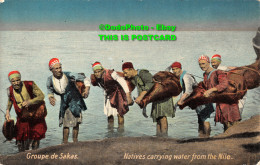 R421981 Groupe De Sakas. Natives Carrying Water From The Nile. The Cairo Postcar - Monde