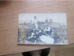 Szabadka Subotica Family In Field Old Photo Postcards - Serbie