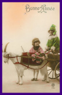 * FANTAISIE * BONNE ANNEE * ATTELAGE CHEVRE * ENFANTS * CHARRETTE * COLORISEE * EDIT. R.P. 1790 - New Year