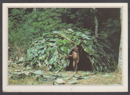 130012/ ZAÏRE, Hutte Pygmée Dans La Forêt - Geographie
