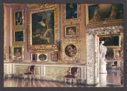 069107/ FIRENZE, Galleria Pitti, Una Parete Della Sala Di Saturno - Firenze (Florence)