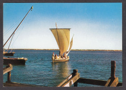 114176/ Ile De Djerba, Voile Gonflée Dans Le Djorf - Túnez