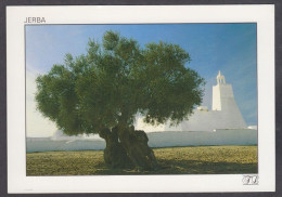 127530/ Ile De Djerba, Olivier Millénaire Et Mosquée - Tunisie