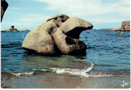 CPM FRANCE 22 COTE D'ARMOR TREGASTEL - Le Rocher De La Sorcière, Le Tas De Crêpes Et Le Dé - 1974 - Trégastel