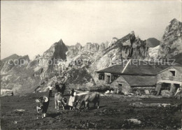 11848947 Wildhaus SG Gasthaus Schafboden Wildhaus - Sonstige & Ohne Zuordnung