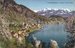 11848816 Vierwaldstaettersee SZ Vitznau Alpen Brunnen - Andere & Zonder Classificatie